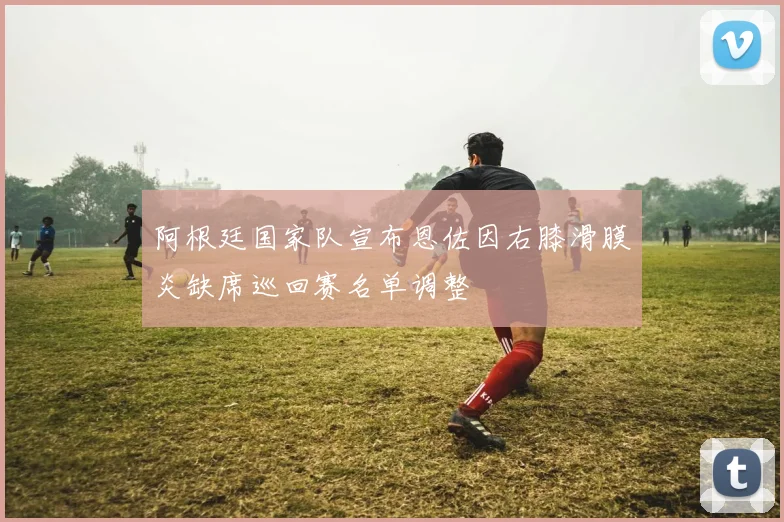 阿根廷国家队宣布恩佐因右膝滑膜炎缺席巡回赛名单调整