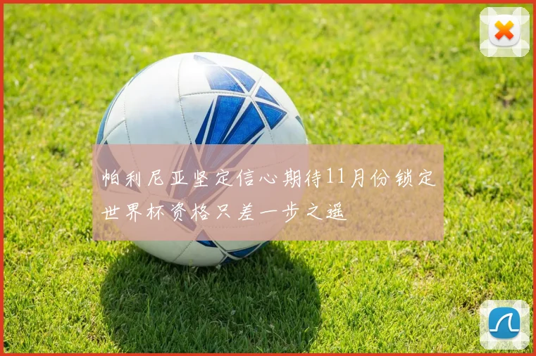 帕利尼亚坚定信心期待11月份锁定世界杯资格只差一步之遥