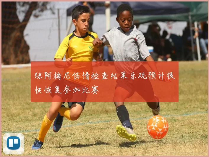 琼阿梅尼伤情检查结果乐观预计很快恢复参加比赛